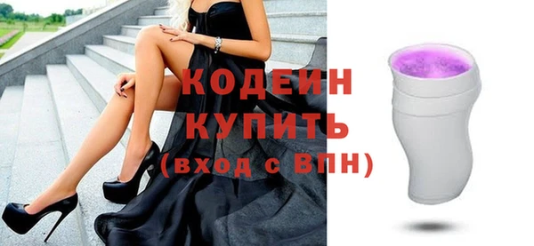 молекула духа Богородицк
