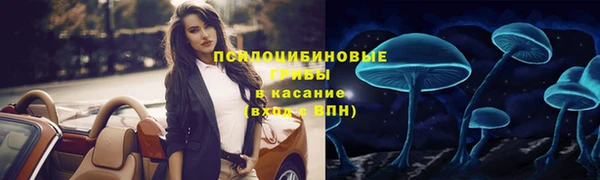 2c-b Богданович