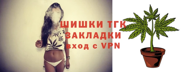 молекула духа Богородицк
