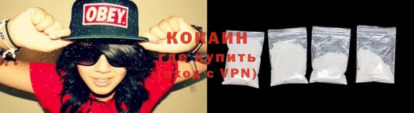 молекула духа Богородицк