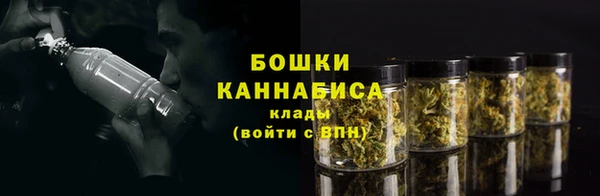 молекула духа Богородицк