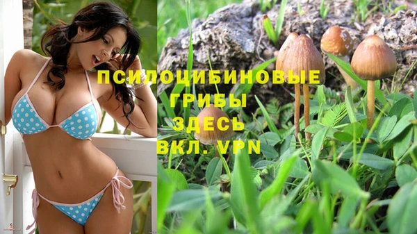 2c-b Богданович