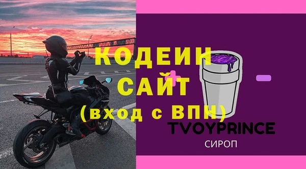 молекула духа Богородицк